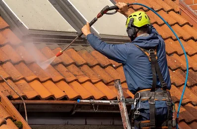 Démoussage et hydrofuge de toiture à Grézian